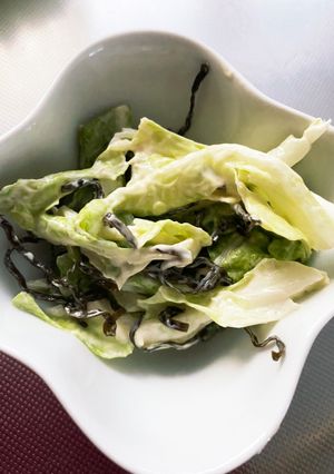 ズボラ主婦の白菜塩昆布-レシピのメイン写真