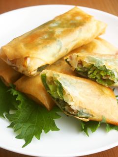 大葉春巻き!キャベツともやしで♪-レシピのメイン写真