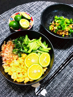 すだちごはん♡-レシピのメイン写真