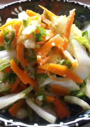 粉末野菜ストックで簡単　白菜の漬物-レシピのメイン写真