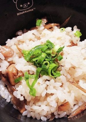 鶏ごぼう混ぜご飯-レシピのメイン写真