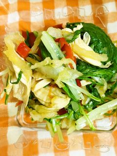 切干大根と水菜のサラダ-レシピのメイン写真