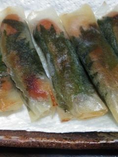 簡単!!ウインナーの焼き春巻-レシピのメイン写真
