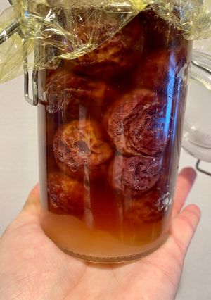 無添加ドライフルーツで作った天然酵母-レシピのメイン写真