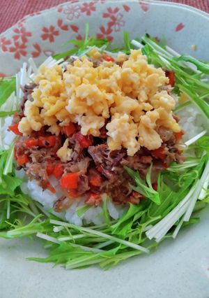 さば缶野菜入りそほろ-レシピのメイン写真