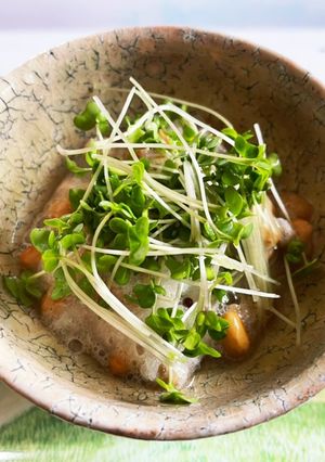 みぞれ納豆-レシピのメイン写真