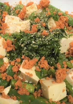 ノパールと豆腐のサラダ-レシピのメイン写真