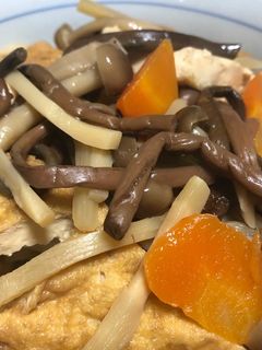 やさしい味♡厚揚げと山菜・シメジの煮物♪-レシピのメイン写真