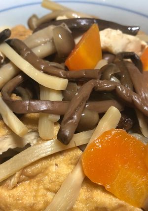 やさしい味♡厚揚げと山菜・シメジの煮物♪-レシピのメイン写真