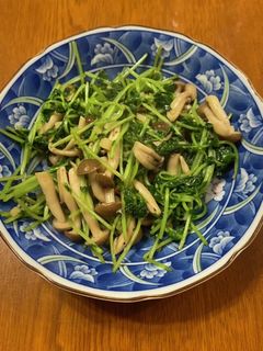 豆苗としめじの醤油炒め-レシピのメイン写真