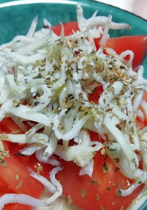 トマトとしらすのイタリアンマリネ-レシピのメイン写真