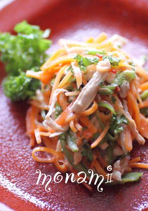 鶏ササミのエスニック＊サラダ-レシピのメイン写真