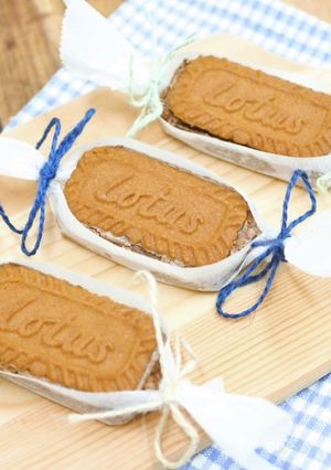 ビスケットのせ チョコチーズケーキ-レシピのメイン写真