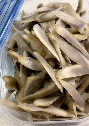 ごぼうの作り置き-レシピのメイン写真