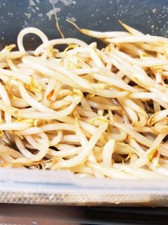 シャキッと簡単☆もやしの中華風-レシピのメイン写真