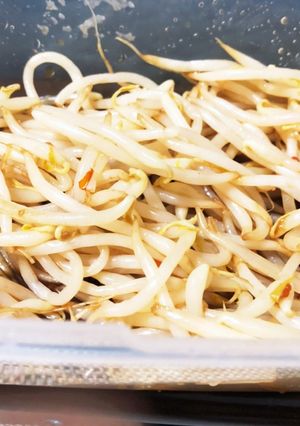 シャキッと簡単☆もやしの中華風-レシピのメイン写真