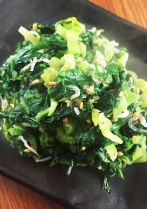美味しい！生高菜のジャコ炒め-レシピのメイン写真