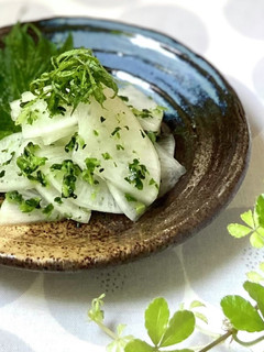 ひろし&大根の浅漬け☆大葉のせ-レシピのメイン写真