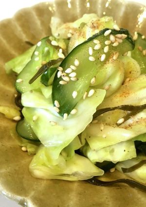 キャベツときゅうりの浅漬け-レシピのメイン写真