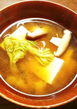 SDGs　独活の芽・穂先、豆腐のお味噌汁-レシピのメイン写真