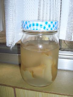 なし酵母-レシピのメイン写真