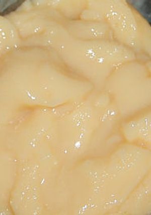 ヨーグルト風味のホエークリーム-レシピのメイン写真