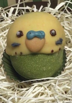 セキセイインコの立体キャラチョコ-レシピのメイン写真