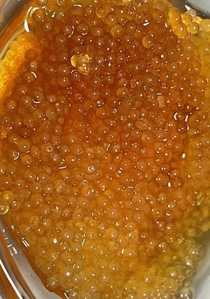 ごっこ(ホテイウオ)の卵の醤油漬け-レシピのメイン写真