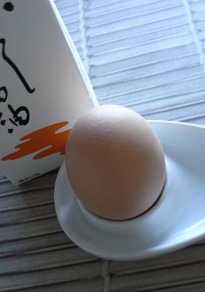 温泉卵もどき-レシピのメイン写真