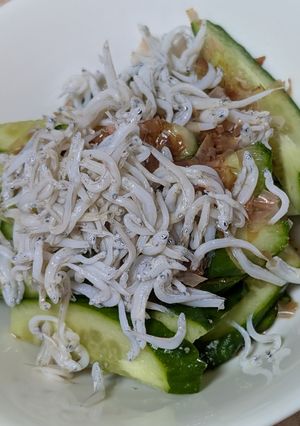 簡単★昼食!きゅうりとしらすのサラダ-レシピのメイン写真