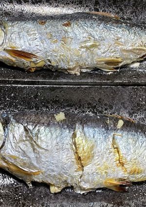 生ニシンの塩焼き-レシピのメイン写真
