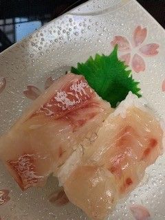 鯛の昆布〆と鯛の押し寿司-レシピのメイン写真