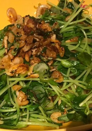 桜エビと豆苗の焼うどん-レシピのメイン写真