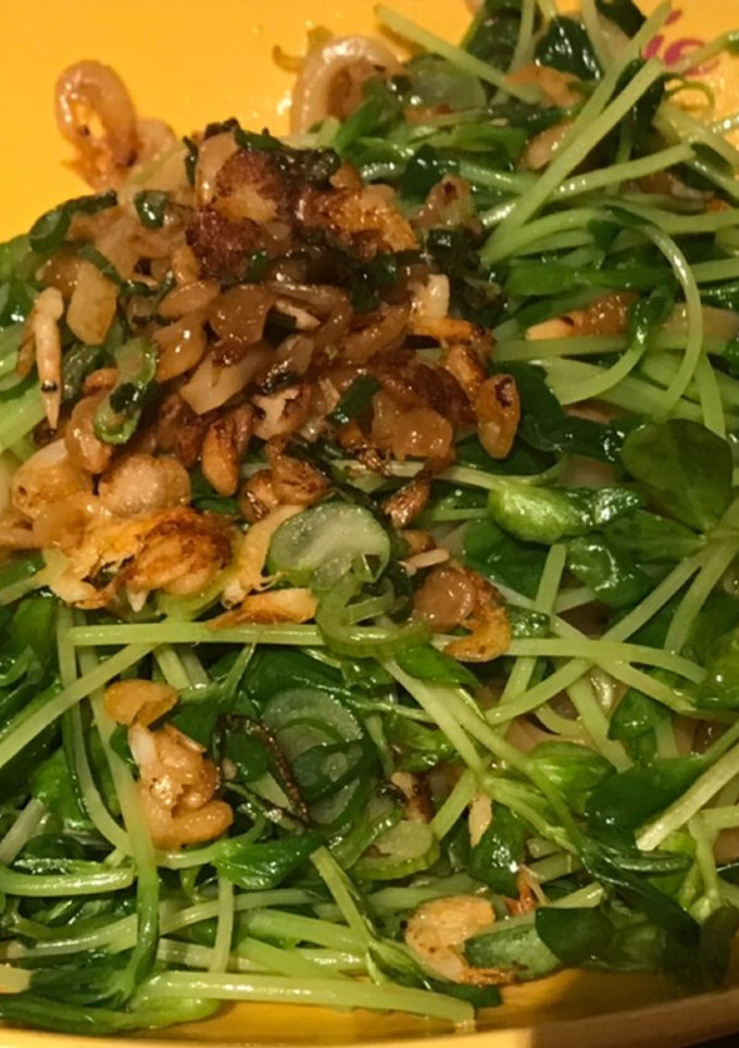 桜エビと豆苗の焼うどん-レシピのメイン写真
