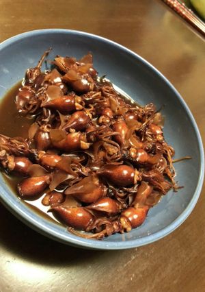 ホタルイカのさっと煮-レシピのメイン写真