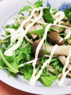 大人味♪キノコと水菜のサラダ-レシピのメイン写真
