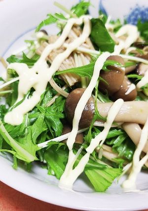 大人味♪キノコと水菜のサラダ-レシピのメイン写真