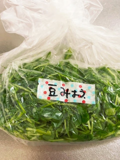 豆苗の冷凍保存(再利用)-レシピのメイン写真
