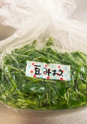 豆苗の冷凍保存(再利用)-レシピのメイン写真