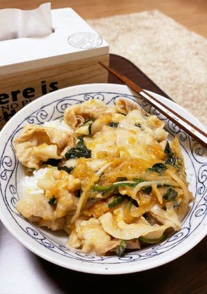 豚丼にするつもりが生姜焼きっぽくなった丼-レシピのメイン写真