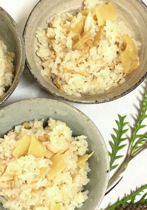 ほっこり竹の子ご飯-レシピのメイン写真