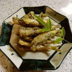 A picture of 小鰯の天ぷら.