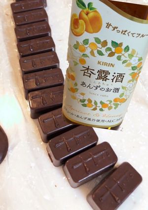 杏リキュールのボンボンショコラ-レシピのメイン写真