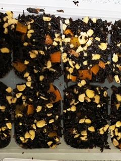 【離乳食中期~】ひきわり納豆でひじき煮物-レシピのメイン写真