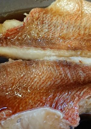煮魚 (基本)-レシピのメイン写真