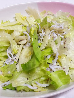 簡単しらす和えるサラダ-レシピのメイン写真