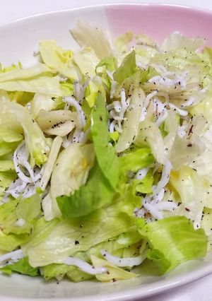 簡単しらす和えるｻﾗﾀﾞ-レシピのメイン写真
