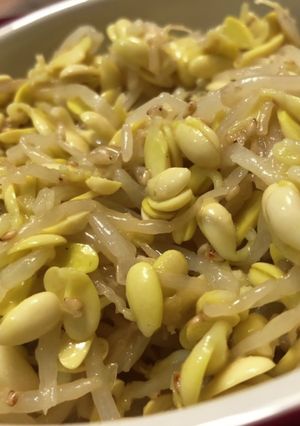 もやしナムル-レシピのメイン写真