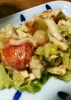 高野豆腐とお豆のキャベツサラダ-レシピのメイン写真