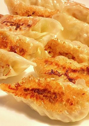 省エネ^_^餃子! タロの弁当晩ごはん編-レシピのメイン写真